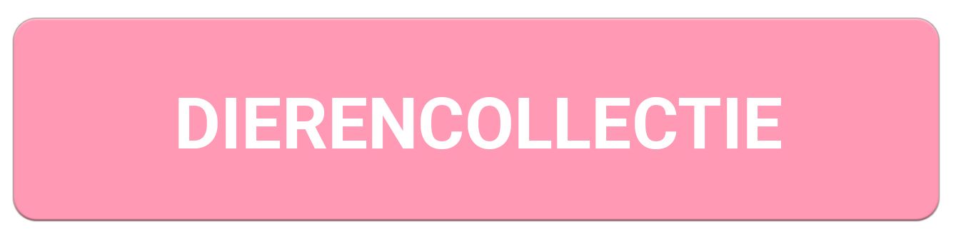 Ontdek onze dierencollectie